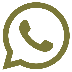 Icona Whatsapp